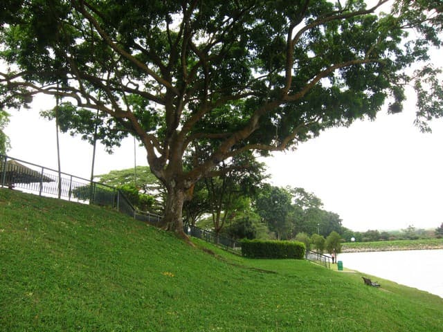 Recovered: 04/Upper-Seletar-Reservoir-Park.jpg