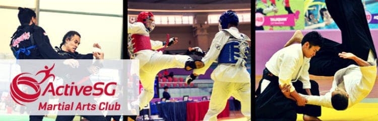Recovered: 12/ActiveSG-Martial-Arts-Club-750x241.jpg