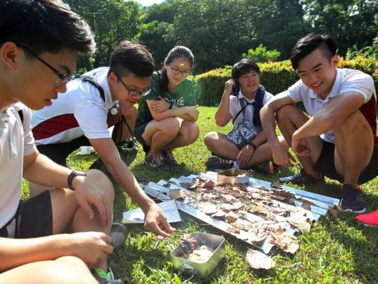 Recovered: 12/ActiveSG-Outdoor-Adventure-Club-750x563.jpg