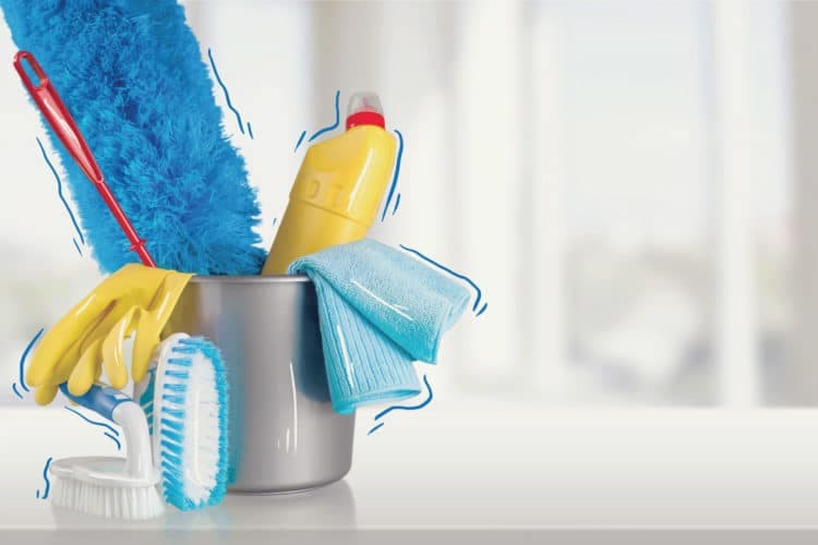 Hiring a Maid / FDW - Eligibility and Requirements