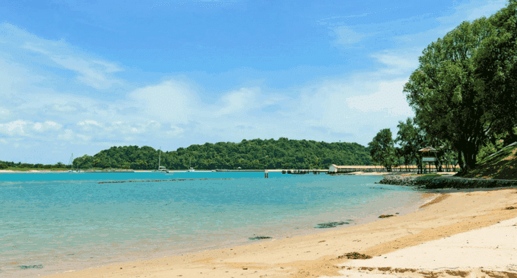 Recovered: 02/Picnic-Spots-in-Singapore-Singapore-Lazarus-Island.png