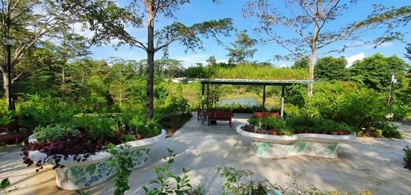 Recovered: 02/Picnic-Spots-in-Singapore-Singapore-Punggol-Waterway-Park.jpg