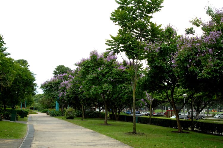 Recovered: 02/Picnic-Spots-in-Singapore-Singapore-West-Coast-Park-750x500.jpg