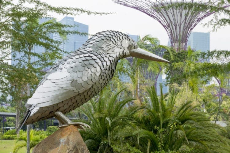 Recovered: 02/Singapore-Kingfisher-Trio-750x500.jpg