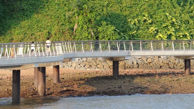 Recovered: 01/Walk-with-French-Associaton-Every-Wednesday-Walk-Labrador-Park-Singapore.jpg