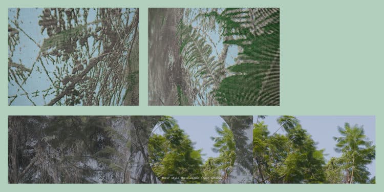 tropics, a many (con)sequence