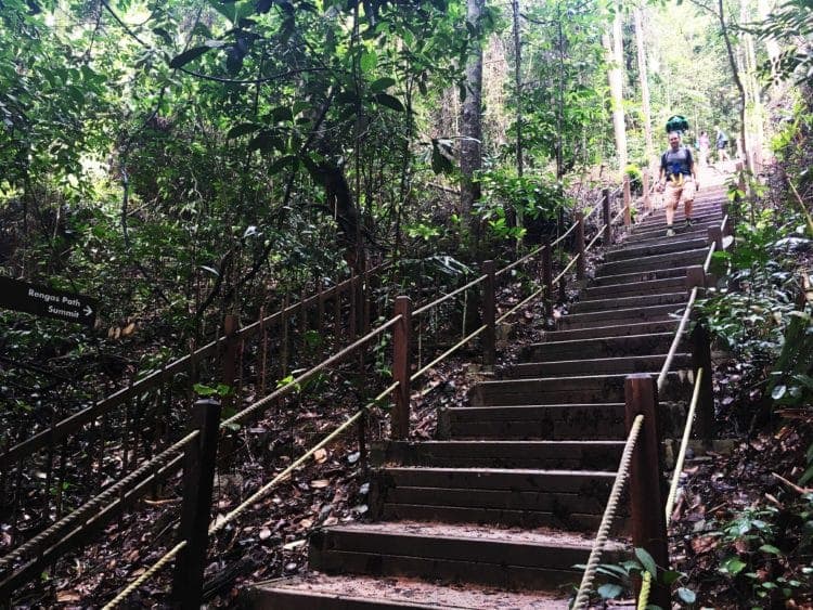 Hiking Trails in Singapore