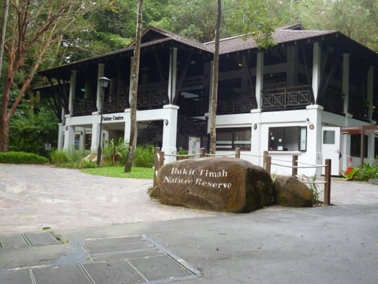 Recovered: 02/Picnic-Spots-in-Singapore-Singapore-Bukit-Timah-Nature-Reserve.jpg