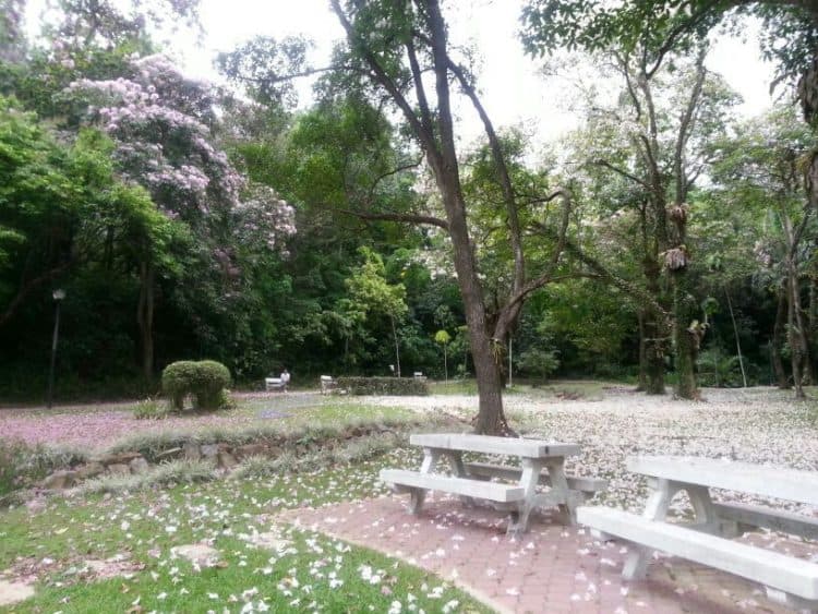 Recovered: 02/Picnic-Spots-in-Singapore-Singapore-Telok-Blangah-Hill-Park-Terrace-Garden-750x563.jpg