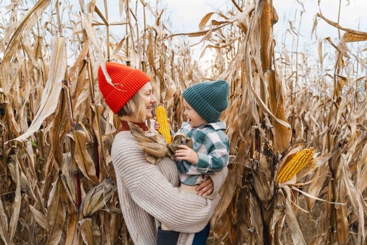 Tracing the Roots of the BIO/Organic Farming Revolution