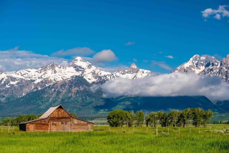 Tracing the Roots of the BIO/Organic Farming Revolution