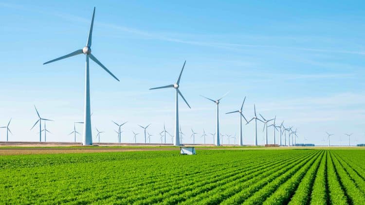 Trailblazers of Organic Germany's Impact on Worldwide Standards