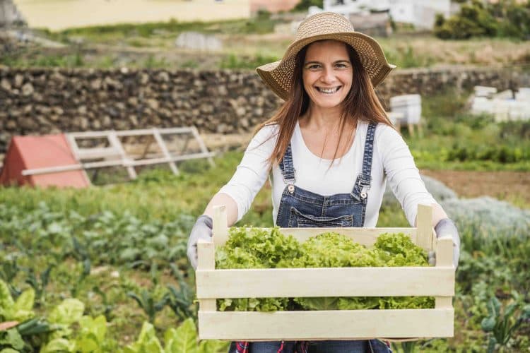Trailblazers of Organic Germany's Impact on Worldwide Standards